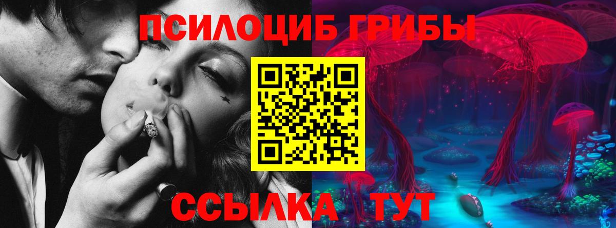 наркошоп  Псилоцибиновые грибы Magic Shrooms  Вход с VPN  Долгопрудный 